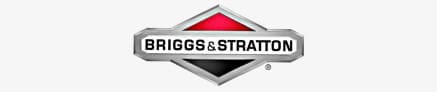 Briggs & Stratton